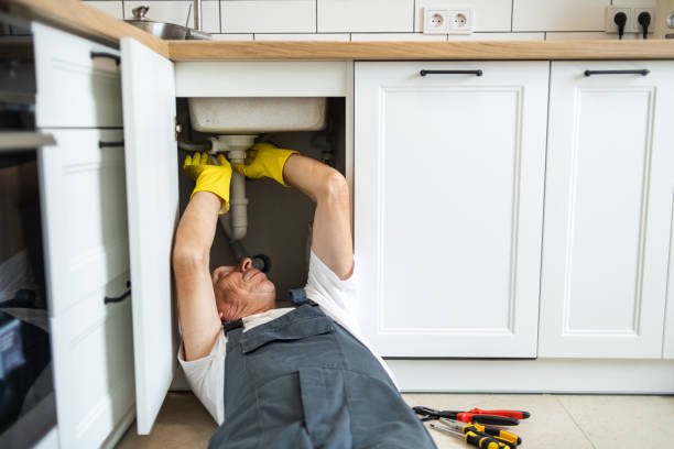 Best Plumbing Inspection Services  in Cherokee Village, AR